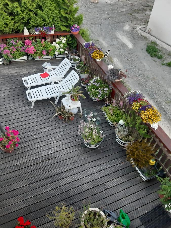 Ferienwohnung Angelo Longkamp ภายนอก รูปภาพ